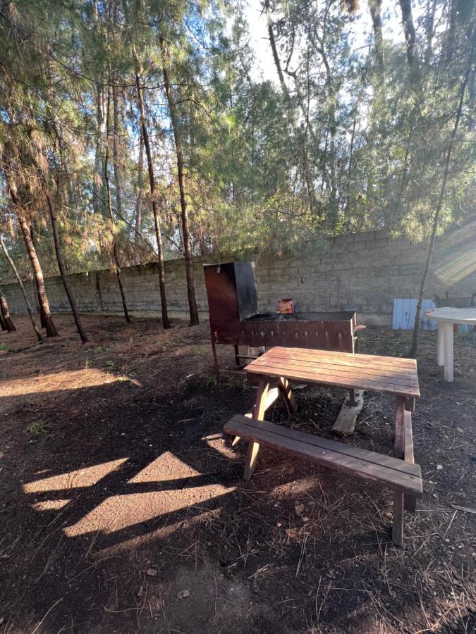 Mini-Hotel Forest Club Pizunda Luaran gambar