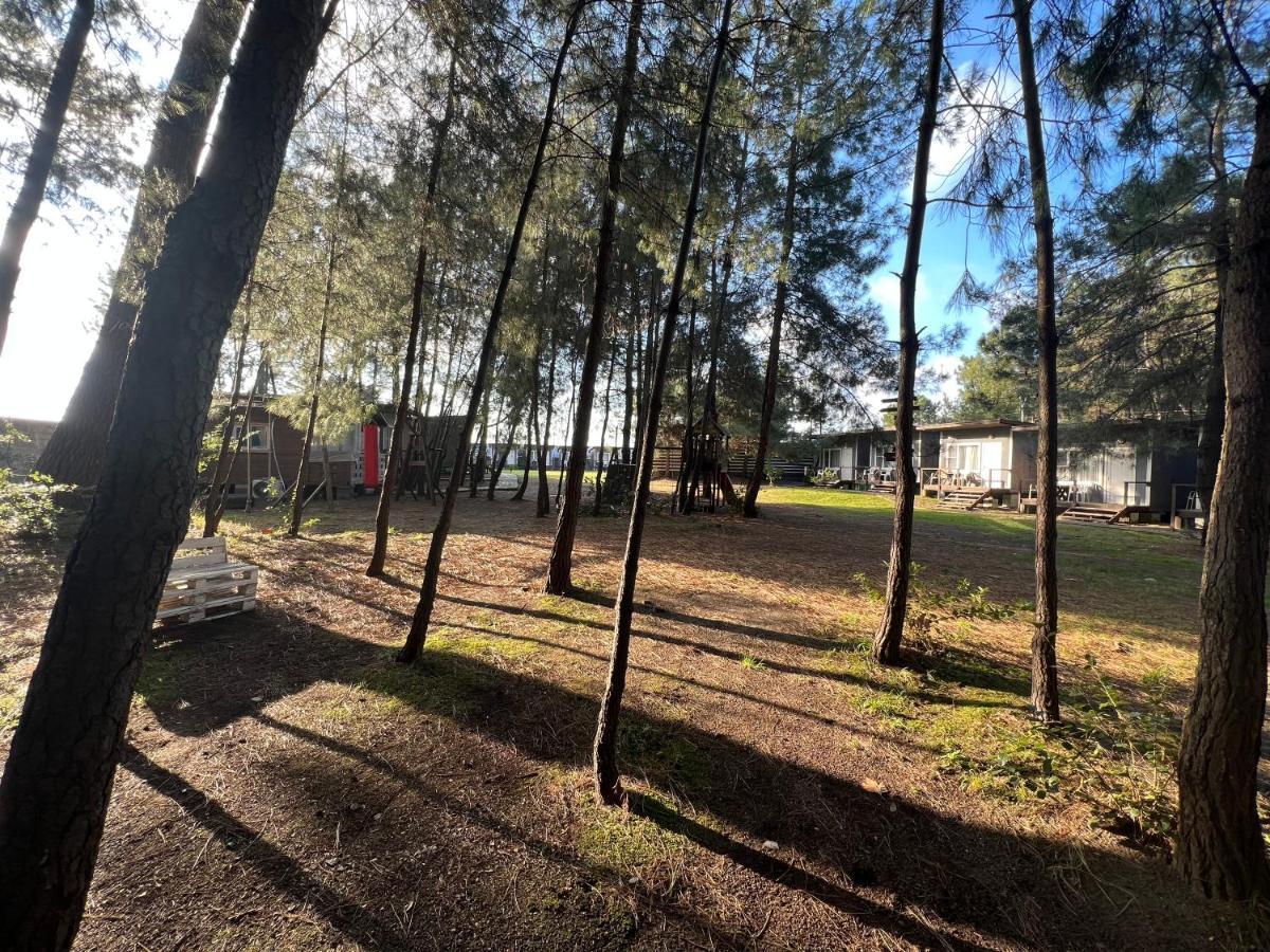 Mini-Hotel Forest Club Pizunda Luaran gambar