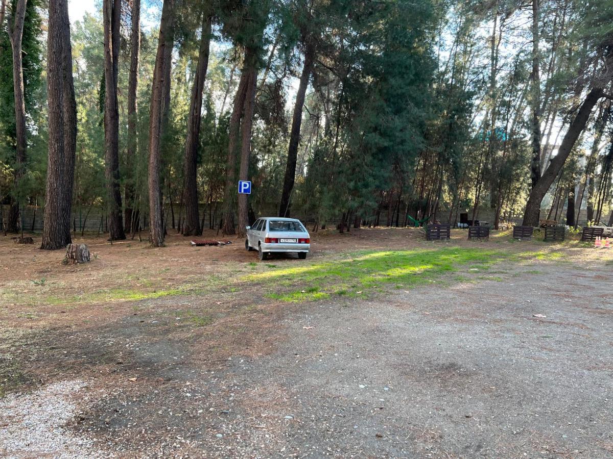 Mini-Hotel Forest Club Pizunda Luaran gambar