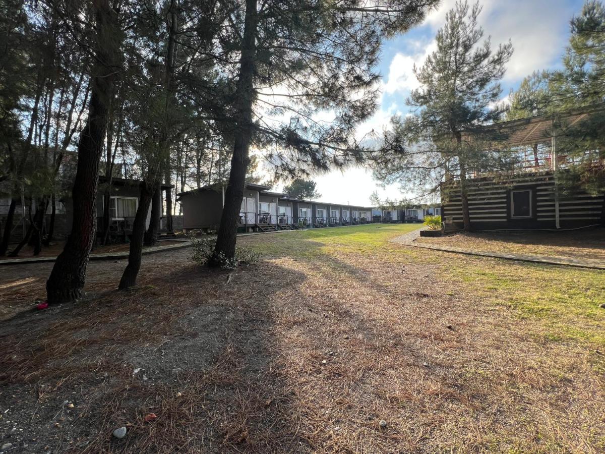 Mini-Hotel Forest Club Pizunda Luaran gambar