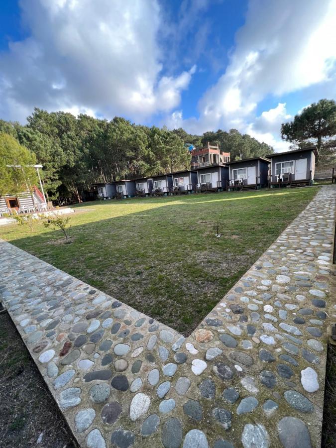 Mini-Hotel Forest Club Pizunda Luaran gambar