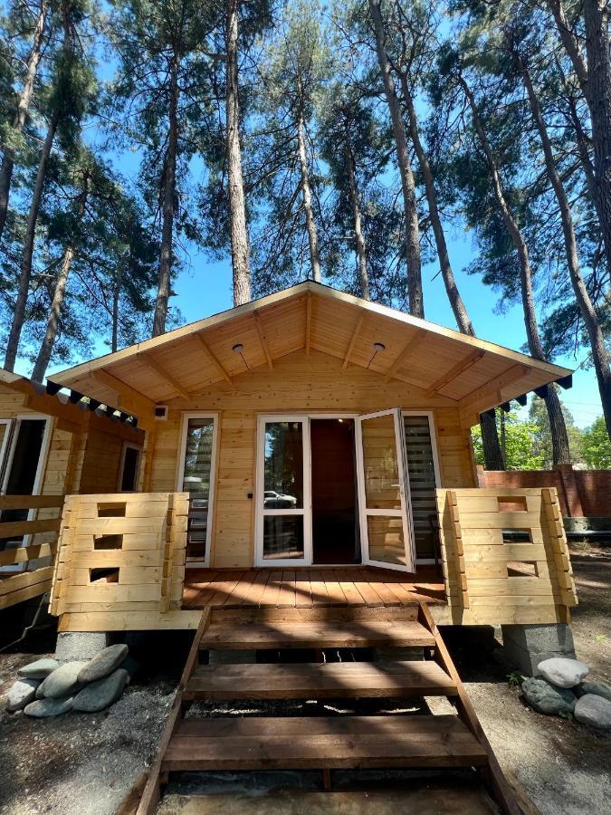 Mini-Hotel Forest Club Pizunda Luaran gambar