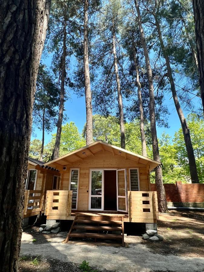Mini-Hotel Forest Club Pizunda Luaran gambar